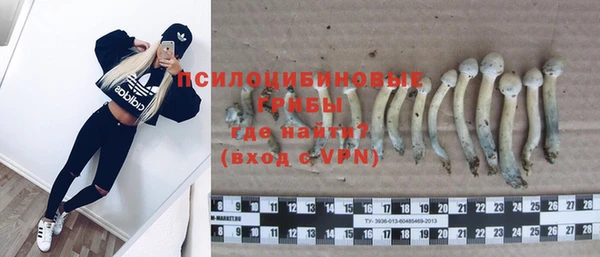 стаф Нязепетровск