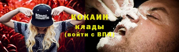 дурь Осташков