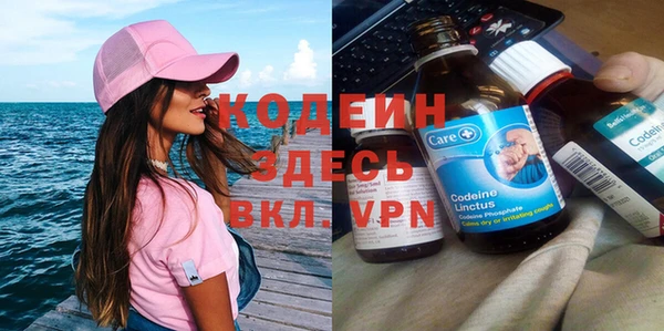 амф Няндома