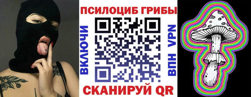 Купить  Чердынь  Псилоцибиновые грибы MAGIC MUSHROOMS 